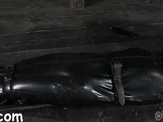 Hotty Receives A Neck Collar And Legs Widen Wide Open In Rough Bdsm Doggy