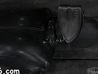 Hotty Receives A Neck Collar And Legs Widen Wide Open In Rough Bdsm Doggy