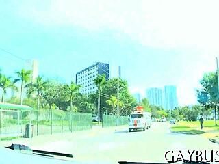 Homosexual Sex Vids Free