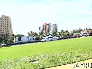 Homosexual Sex Vids Free