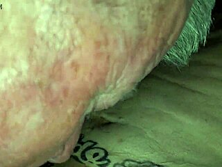 partner sucking brett's cock in gay missionary style