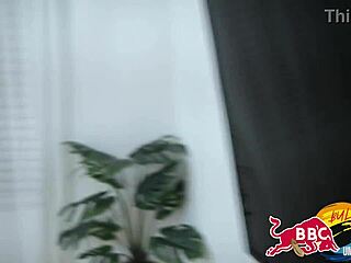 I watched the ebony milf orgasm on big black cock.