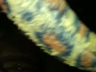 Brazilian Brunette Bent Over For Anal And Doggystyle In Car