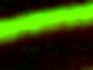 Video from March 16, 2017