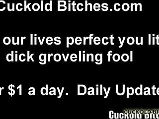 Femdom wife shows cuckold real black cock.