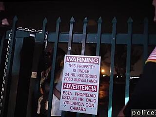 Exploring Big Black Daddies And Their Impressive Features In Free Content