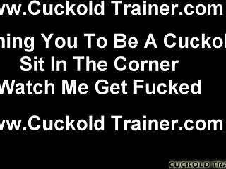 I like to dominate and humiliate bisexual cucks like you