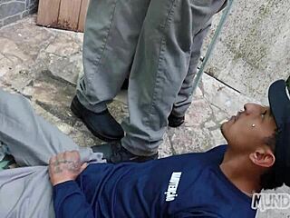 Pauza za ručak da se foka sa big kurcima