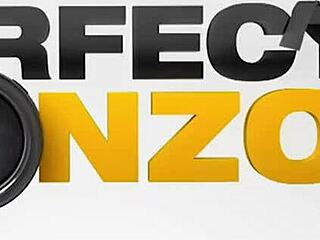 renata takes anal sex in perfect gonzo style by ass traffic