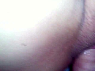 Team cream pie compilation featuring various team members participating in creampie activities in a group setting