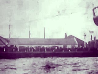 Vintage Cartoon Antique Erotic Art Collection Displayed Boldly