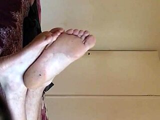 Croydon Brass Band Performances