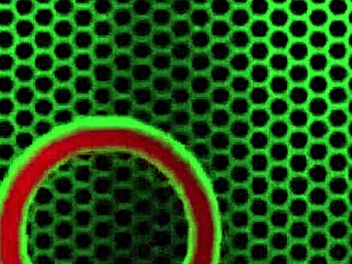 Mexican Milf Gabby Quinteros Lifted by Christian XXX for Lingerie Handjob and Pussy Lick