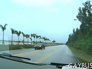 Free Homo Sex Pics, Want To See More Gay Action?