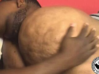 Watch cumshots on huge tits and ass 😈