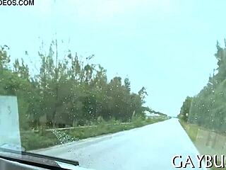 Free Homo Sex Pics, Want To See More Gay Action?