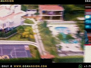 Latina brunettes caress big tits and asses