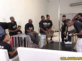 Ashley adams interracial gangbang