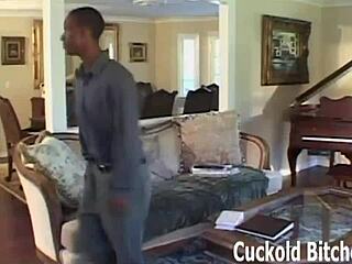 Fucking a hung black stud while you watch, in this bisexual femdom cuckold scene