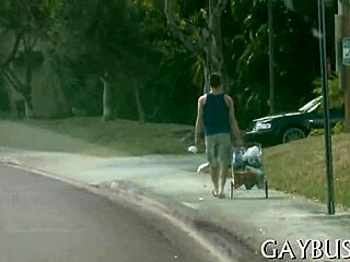 Fellows Engage In Homosexual Sex