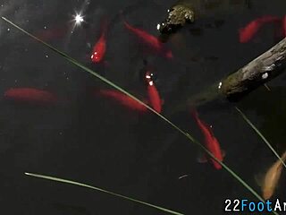 Alluring Feet Cutie Jizzy Gives Blowjob To Big Cock