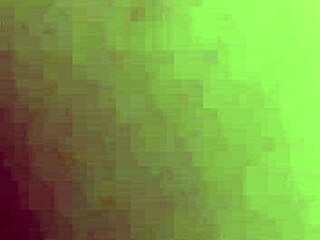 Fucking My Favorite White Women Pt2