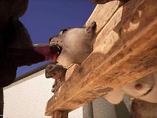 Furry porn with rough anal sex and hot yiff action