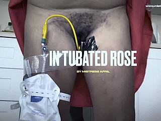 April, the dominatrix mistress, has her submissive slave, Rose, in the tube