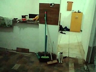 stella says 'want to see my big tits in kitchen?'