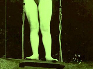 My Secret Life Top Twenty Vintage Swingers Adventures