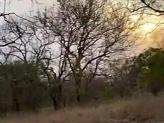 Angel Emily's Safari Anal Sex