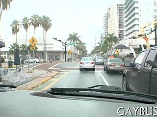 Wild jock rides inside a car during contest.