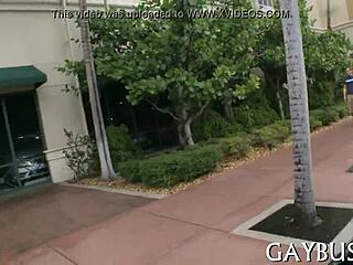 Wild jock rides inside a car during contest.