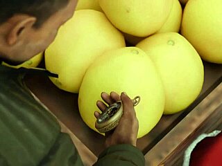 koharu frozen in time for wild action