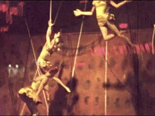 Vintage illustration displayed