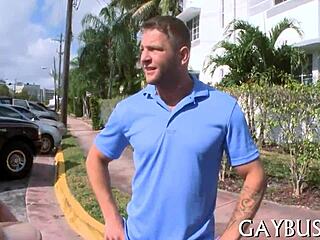 Free gay sex available now