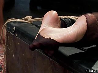 Bound Milf Slave Takes Hard Anal Fucking