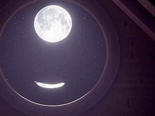 Horký okřídlený host dominuje ženě v 3D animaci. Futa jí ničí zadek s výstřikem na obličej.