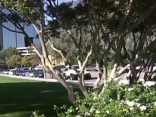 we pick up your hot stepmom india summer and bang her hard