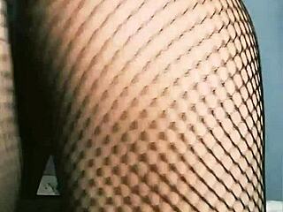 Mireladelicia's Horny BBW Anal Plug And Dildo Exhibitionism