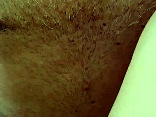 Alineflavio Update 138 From August 24 2024