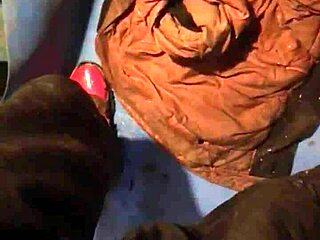 Bomber Parte 2 - Aventura pública al aire libre follada