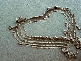 i gave her a creampie after our beach date