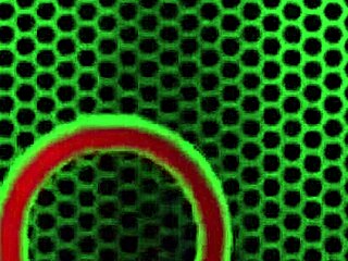 니키 헌터 젖은 보지 핥아 절정 오르게 해