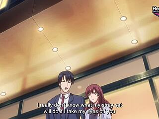 第5集 流浪猫溺水