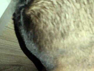 Horny fucking in the early morning!