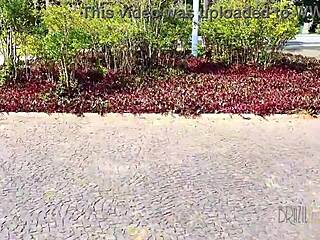 Does the tourist match with Clara in Snow Brasil?