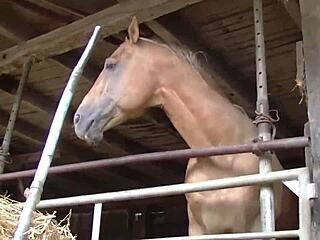 German double penetration madness with Elke in Spermator Schweinestall intro.