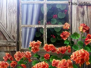 watching shingeki no kyojin episode one full hd dub