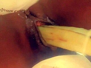 Veggie dish prepared with fresh ingredients